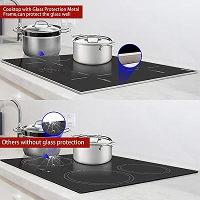 Stainless Steel Gas Induction Cooker