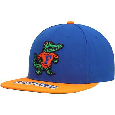 Youth Mitchell & Ness Royal Florida Gators Paintbrush Snapback Hat