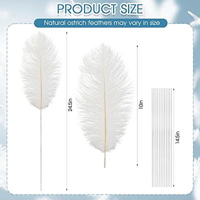 Larryhot White Large Ostrich Feathers - 16-18 inch 10pcs Feathers for  Vase,Wedding Party Centerpieces and Home Decorations (White)