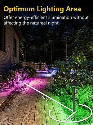 ZUCKEO LED Low Voltage Landscape Lights RGB Pathway Lights, 5W LED