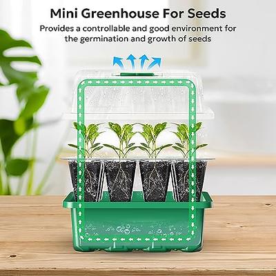 Rarello 3 Packs Seed Starter Tray with Grow Light,Reusable Pop-Out