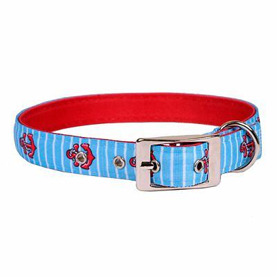 Radiance Blue Uptown Dog Collar