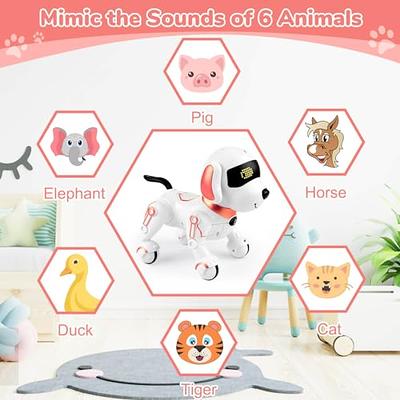 WonderPlay Remote Control Toys - Smart Pet Robot Dog - Yahoo Shopping