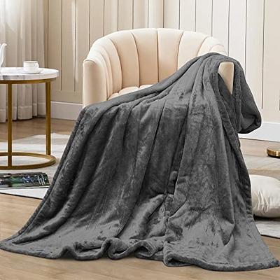 Heated Throw Blanket (50 x 60) with 220g Double-Layer Soft