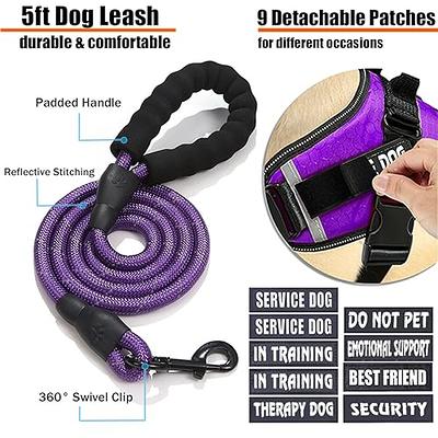 Service Dog Vest Harness and Leash Set, Animire in Training Dog