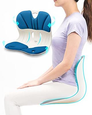 Curble Chair Teenager] Ergonomic Lower Back Chair Support, Lumbar Support  Back Posture Corrector (Blue) - Yahoo Shopping