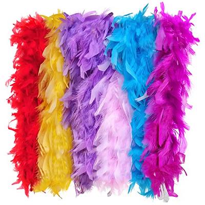 Coceca 6pcs 6.6ft Colorful Feather Boas for Women Girls Costume Dress Up  Party Bulk Decoration