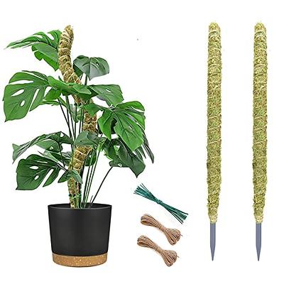 2 Pcs Moss Pole Plant Poles Potted Plants Indoor Mini Houseplant