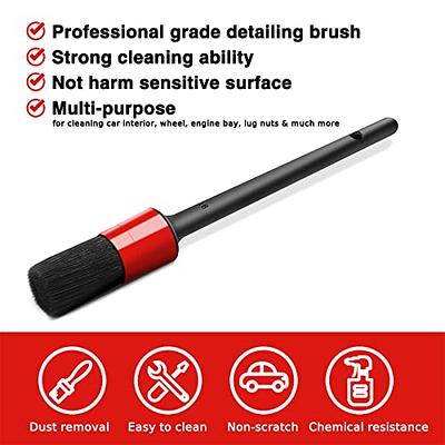 Detailing Brush Set - 10 Pcs Detail Brushes Car Detailing, Auto Boar Hair  Car Detail Brush for Cleaning Car Interior Exterior, Vehicles Wheels  Leather