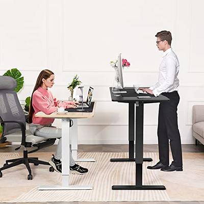 Double Standing Desk