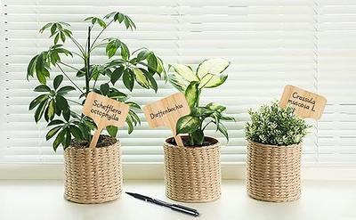 Boxgear 50pcs Bamboo Plant Labels (T-Type) with a Marker Pen, Garden Markers,  Plant Tags, Wooden Plant Sign, Gardening Accessories, Garden Markers for  Seed Potted Herbs Flowers Vegetables - Yahoo Shopping