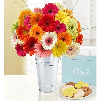 Happy Gerbera Daisies, 12-24 Stems