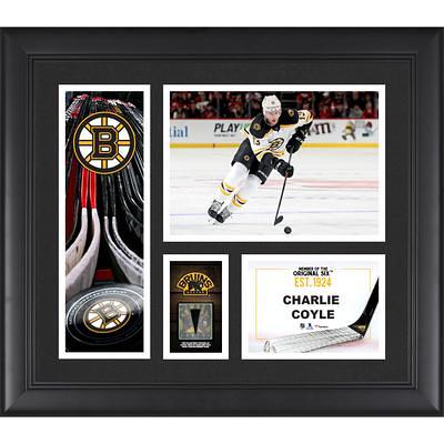 Boston Bruins Black Framed Logo Jersey Display Case