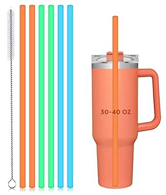 Replacement Straw for Stanley 40 oz 30 oz 20 oz Cup Tumbler 6 Pack