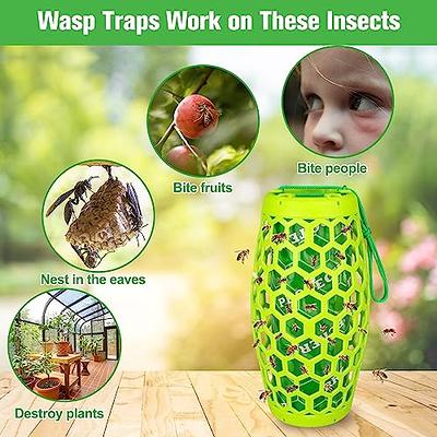 red wasp trap