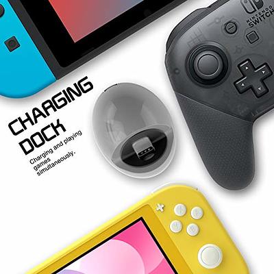 Nintendo Switch lite Charger – ECHZOVE