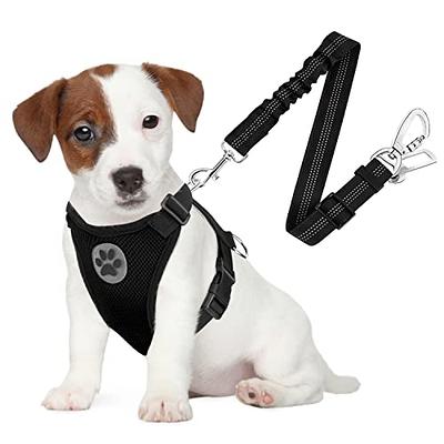 SlowTon No Pull Small Dog Harness and Leash Set  