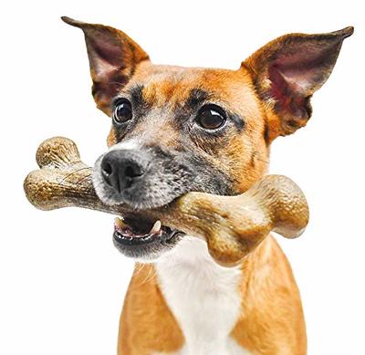 Pet Qwerks - Flavorit Peanut Butter Flavor Nylon Bone Tough Chew Dog T