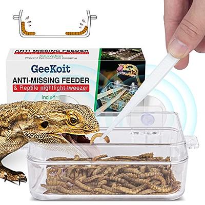 2 Pack Reptile Water Food Dish 1 Feeding Tongs,Tank Accessories for Lizard  Bearded Dragon Leopard,Crested Gecko Chameleon Tortoise Frog Hermit Crab  Iguana,Superworm Dubia Mealworm Escape Proof Bowl - Yahoo Shopping