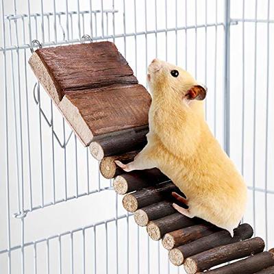 BUCATSTATE Hamster Cages and Habitats Small Animal Cage with Accessories  Rat Cage Mouse Cage Basic Cage for Syrian Hamster Gerbils (19.7 L*13 W*