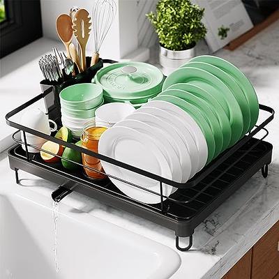 Santentre 2-Tier Dish Drying Rack with Removable Utensil Holder