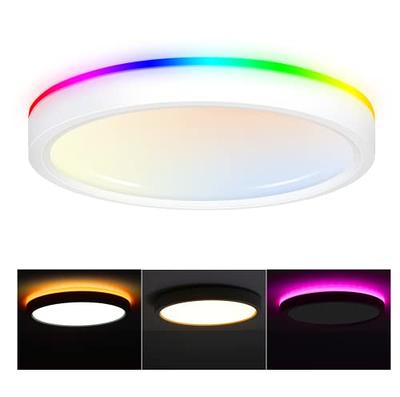 Lumary Smart 5/6 Inch LED Surface Mount Lights LED Disk Light