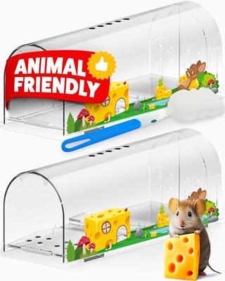 4 Pcs Humane Mouse Traps No Kill, Live Mouse Traps Indoor for Home,  Reusable Mice Small Rat Trap Catcher for House & Outdoors - Yahoo Shopping