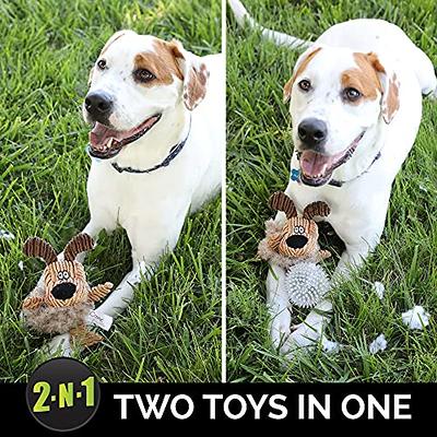 AZEN 2 Pack Interactive Dog Toys, Dog Puzzle Toys, Best Gifts Dog Birthday  Toy for Small Midium Large Dogs, Funny Cute Squeaky Dog Toys