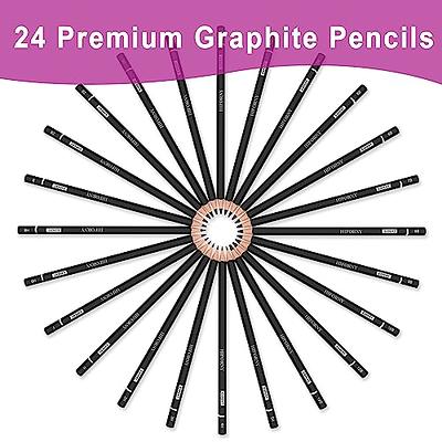 Dyvicl Professional Drawing Sketching Pencil Set - 12 Pieces Drawing Pencils 10B, 8B, 6B, 5B, 4B, 3B, 2B, B, HB, 2H, 4H, 6H Graphite Pencils for