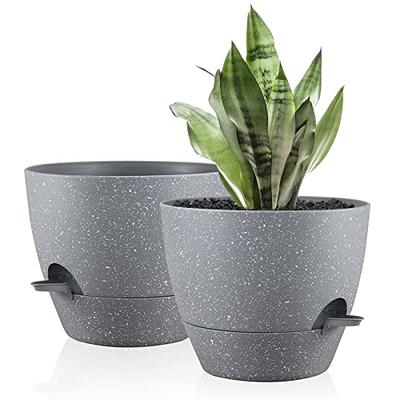 1 Pack Self Watering Planters 6 Inch Plant Pot Self Watering Pots for  Indoor Plants Plastic Plant Pot for African Violets, Flower Pots ,Plant Pots  Indoor, White 