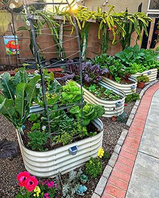 Craftsbury Raised Beds