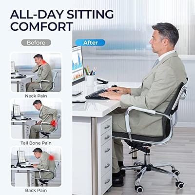 Seat Cushion & Lumbar Support Pillow for Office Chair, Car, Wheelchair  Memory Foam Desk Chair Cushion for Sciatica, Lower Back & Tailbone Pain  Relief