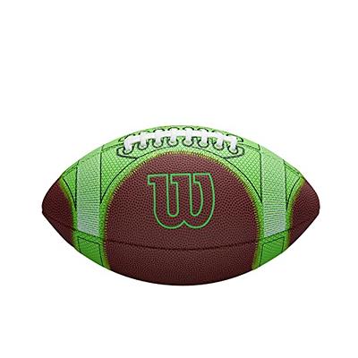 Dick's Sporting Goods Wilson NFL Mini Replica Football