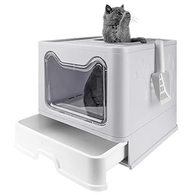  IKITCHEN Stainless Steel Cat Litter Box, Small Low Entry Open  Metal Litter Pan for Arthritic Cats, Litter Basin for Kittens Newborn Cats  Litter Tray 19.5 L x 13.5 W x 4