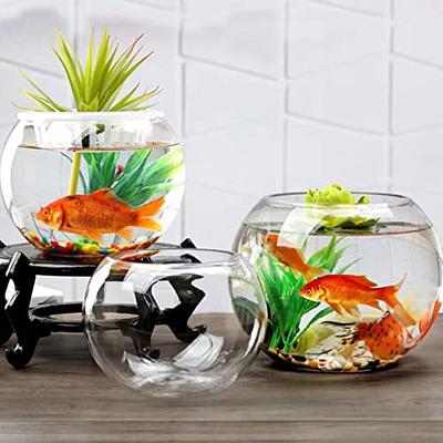 Glass Fish Tank Transparent Glass Vase Lotus Bowl Planter Glass Plant  Container Large Glass Fish Bowl Growing Fish Tank Clear Fishbowl Plants  Betta Lotus Pot Child Dining Table - Yahoo Shopping