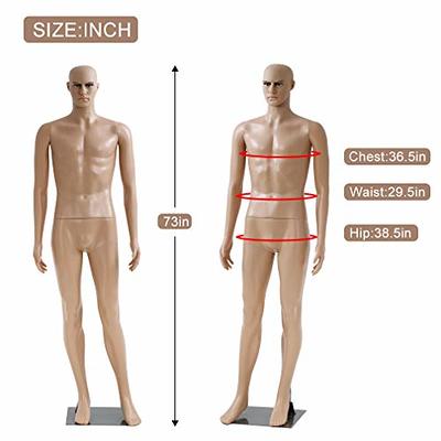 73 Male Mannequin Metal Base Detachable Realistic Full Body Dress Form  White