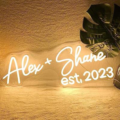 Custom Neon Signs, Neon Name Sign Customizable for Wall Decor, Personalized  Neon Signs Larger LED Light up Sign Customizable for Bedroom Wall Decor