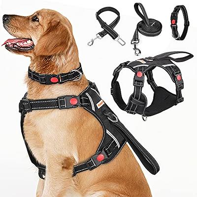 PetSafe Keepsafe 3/4-Inch Medium Break-Away Dog Collar, BLACK.