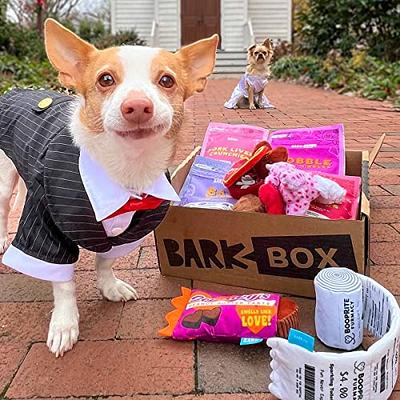 BarkBox - The Monthly Dog Toy and Treat Box