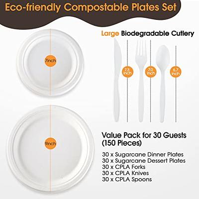 hooray mida 100% Compostable Plates, Disposable Paper Plates 125-Count -  Heavy Duty, Biodegradable Plates Made of Bagasse - Eco Friendly and