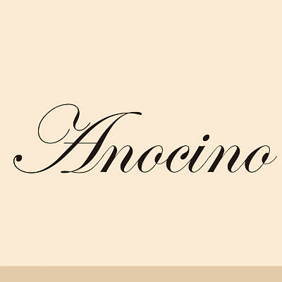 Anocino