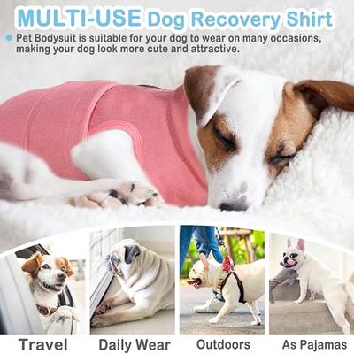 Dog Recovery Suit after Surgery Female Male, Soft Long Sleeve Dog