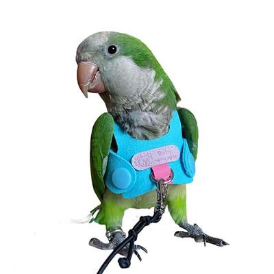 flying rope for birds Conure Harness Flying Rope Birds Bird Rope Rope Leash