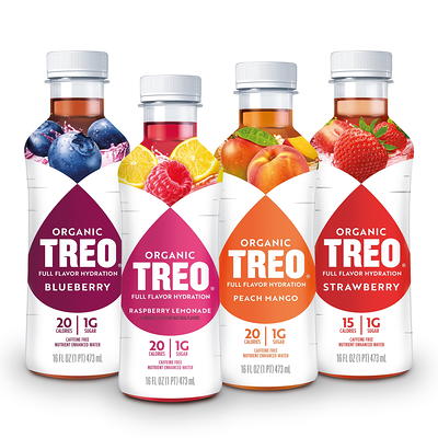 Treo Fruit & Birch Water Drink, Blueberry, Pack of 12