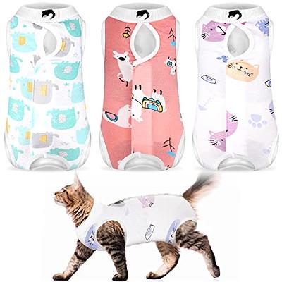 3 Pieces Cat Recovery Suit Kitten Recovery Suit E-Collar Alternative for  Cats an