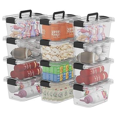 NATGIFT Foldable Shoe Rack 13.6×10×7.7Inch, Collapsible Storage Box Size Up to15, Free Standing Bins Stackable Plastic Tote with Lids Organizing