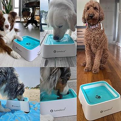 LumoLeaf Dog Water Bowl Dog Bowl No-Spill Pet Water Bowl 35oz Slow Water  Feeder Dog Bowl Vehicle Carried Dog Water Bowl for Dogs/Cats/Pets