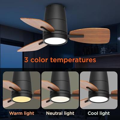 TALOYA Small Ceiling Fan with Lights and Remote Control 30 inch