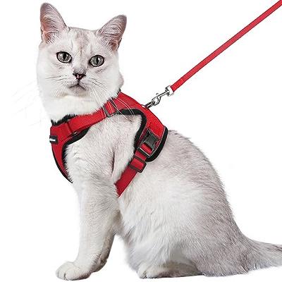  Cat Harness and Leash for Walking Soft Adjustable