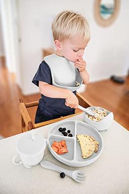 Roeko Baby Feeding Set with Lid - Baby Led Weaning Supplies - Suction  Plates for Baby - Sippy Cup